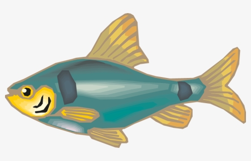 Different Fish Vector Set Png - Goldfish, Transparent Png, Free Download