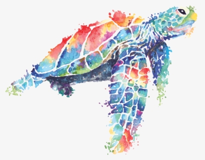 Sea Turtle Painted In Watercolor Vector - Tortue De Mer Dessin, HD Png Download, Free Download