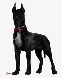 Black Dog Png Images - Black Cane Corso Pitbull, Transparent Png, Free Download