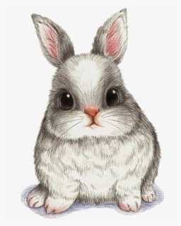 Drawing Watercolor Painting Art Image - Cute Bunny Drawing Watercolor, HD Png Download, Free Download