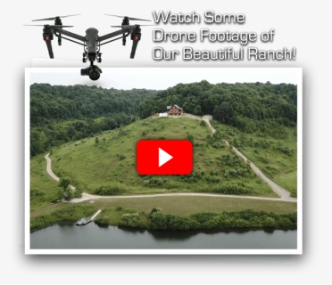 Kentucky Best World Class Whitetail Deer Hunting Handicap - Grass, HD Png Download, Free Download