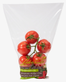 Bush Tomato, HD Png Download, Free Download