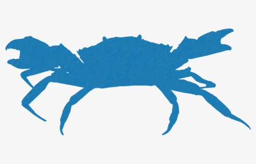 Logo Design By Tiltons For Blue Crab - Green Crab White Background, HD Png Download, Free Download