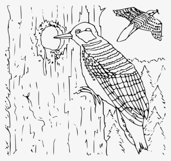 Art,monochrome Photography,artwork - Woodpecker Nest Clipart Black And White, HD Png Download, Free Download
