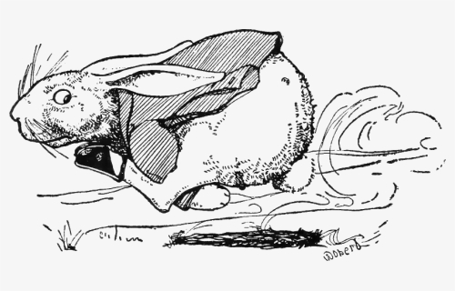 Peter Rabbit Albert 28 - Cartoon, HD Png Download, Free Download