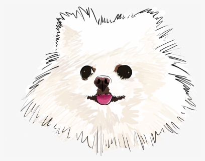 White Pomeranian Cartoon, HD Png Download, Free Download