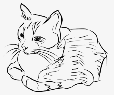 Cat, Feline, Animal, Pet - Cat Drawing Clipart, HD Png Download, Free Download