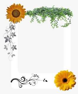 #stiker #png #flower @alaska Walk - African Daisy, Transparent Png, Free Download