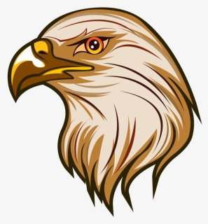 Bald Eagle , Png Download - Eagle Clipart Png, Transparent Png, Free Download