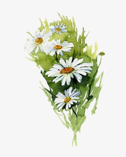Banner Free Download Painting Common Illustration Hand - Daisy Flowers Watercolor Painting, HD Png Download, Free Download