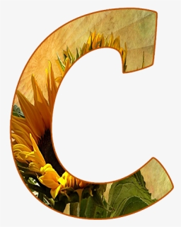 Crescent, HD Png Download, Free Download
