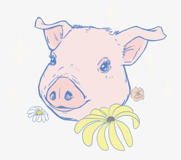 Domestic Pig , Png Download - Domestic Pig, Transparent Png, Free Download
