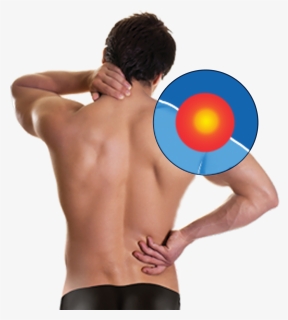 Of Muscles, Tendons And Ligaments - Neck And Back Pain, HD Png Download, Free Download