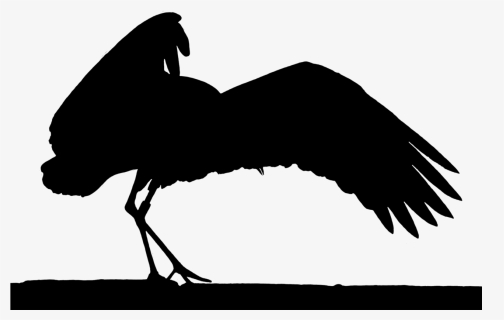 Stork Elegant Silhouette - Birds, HD Png Download, Free Download