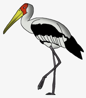 Wildlife Animal Pedia Wiki - Painted Stork In Easy Drawing, HD Png Download, Free Download
