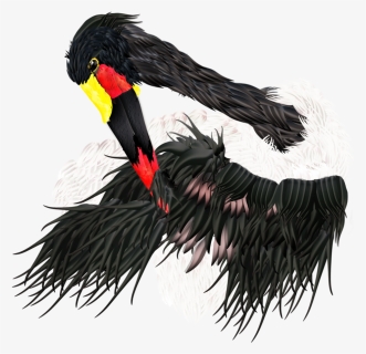 Saddle-billed Stork All Merged, HD Png Download, Free Download