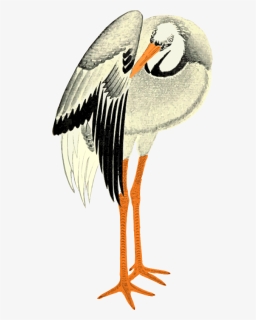 White Stork , Png Download - White Stork, Transparent Png, Free Download