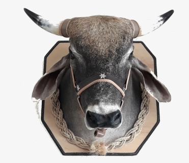 Cabeça De Boi Com Porta Bebidas - Bull, HD Png Download, Free Download