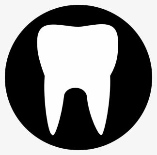 Clipart Tooth Outline , Png Download - Human Tooth, Transparent Png, Free Download