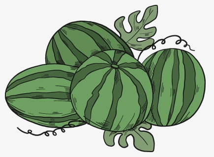 Watermelons Clipart - Gourd, HD Png Download, Free Download