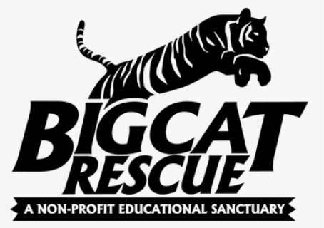 Big Cat Rescue Logo - Logo Big Cat Rescue Tampa, HD Png Download, Free Download