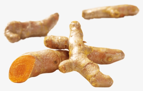 Ginger, HD Png Download, Free Download