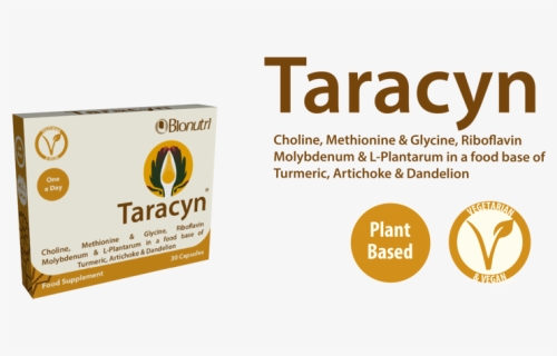 Taracynv2-01 - Box, HD Png Download, Free Download
