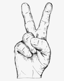 Hand Drawn Hand Gestures Vector 7 1 - Line Art, HD Png Download, Free Download