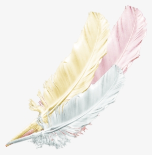 Transparent Feather Png Transparent - Origami, Png Download, Free Download