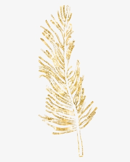 Transparent Fern Feather - Feather, HD Png Download, Free Download