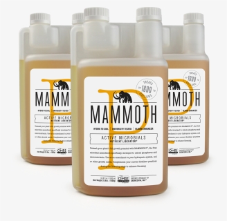 Mammoth "p - Mammoth Nutrients, HD Png Download, Free Download