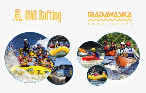 Whitewater Rafting, Kayaking And Canoeing With Owl - White Water Rafting Owl, HD Png Download, Free Download