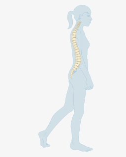 Child Teenager 3 Smart Servier - Osteoporosis, HD Png Download, Free Download