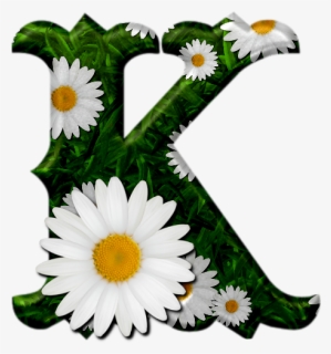 Camomile, HD Png Download, Free Download