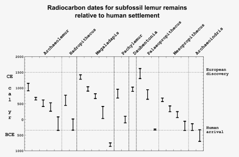 Subfossil Lemur C14 Ranges - Subfossil Lemur Extinction Anthropogenic, HD Png Download, Free Download