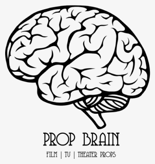 Brain Side View Vector Clipart , Png Download - Brain Clipart Transparent Background, Png Download, Free Download