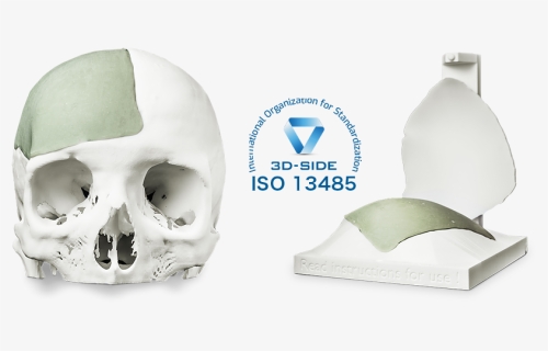 Skull, HD Png Download, Free Download