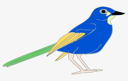 Bird Blue Jay Download - Pajaro Clipart, HD Png Download, Free Download