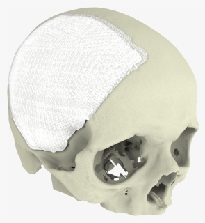 Skull, HD Png Download, Free Download