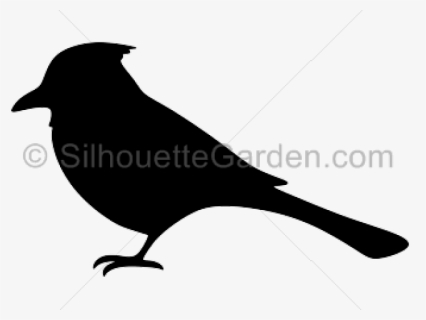 Blue Jay Clipart Transparent - Blue Jay Bird Silhouette, HD Png Download, Free Download