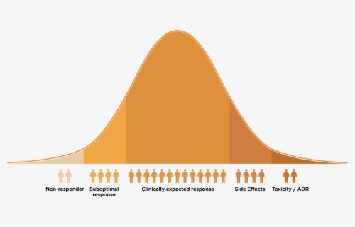 Medical Bell Curve, HD Png Download, Free Download