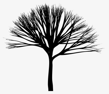 Skinny Tree Silhouette 3 Clip Arts - Silhouette, HD Png Download, Free Download