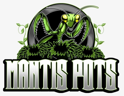 Mantis Pots - Graphic Design, HD Png Download, Free Download