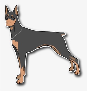 Dog, Pet, Household, Animal, Doberman, Collar - Png Clipart Doberman Png, Transparent Png, Free Download
