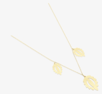 Trio Leaves Necklace, Two Tone Gold - Chain, HD Png Download, Free Download
