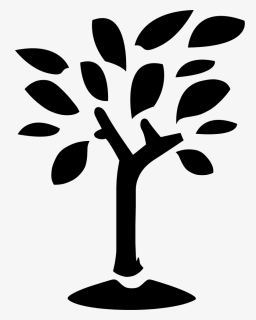Tree - Icon, HD Png Download, Free Download
