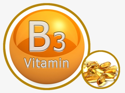 Thumb Image - Vitamin B 3, HD Png Download, Free Download