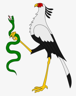 Secretary Bird And Snake Art, HD Png Download, Free Download