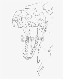 Free Png Wolf Skull Drawing Base Png Image With Transparent - Wolf Skull Lineart, Png Download, Free Download