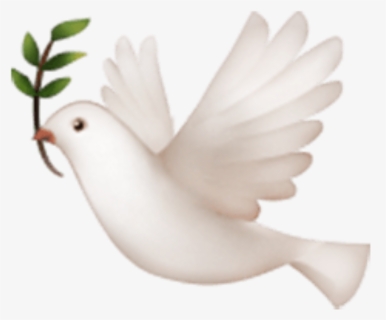 #palomas - Rest Easy, HD Png Download, Free Download